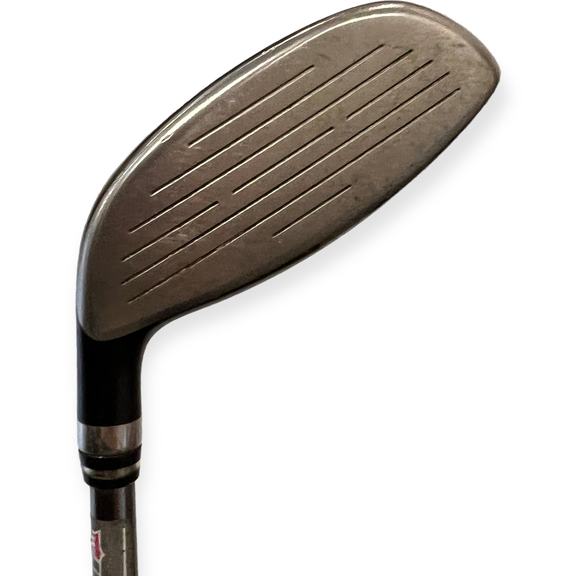 Wilson Staff D-200 Fairway Wood / Flex Ladies / #5/19